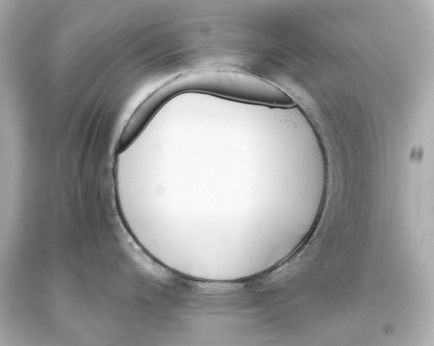 X0000093571200200711051051
