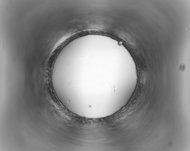 X0000093571208200711051050