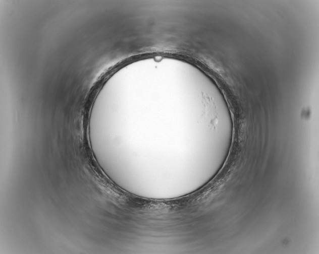 X0000093571214200711051050