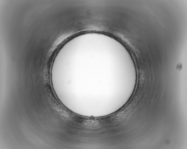X0000093571215200711051050