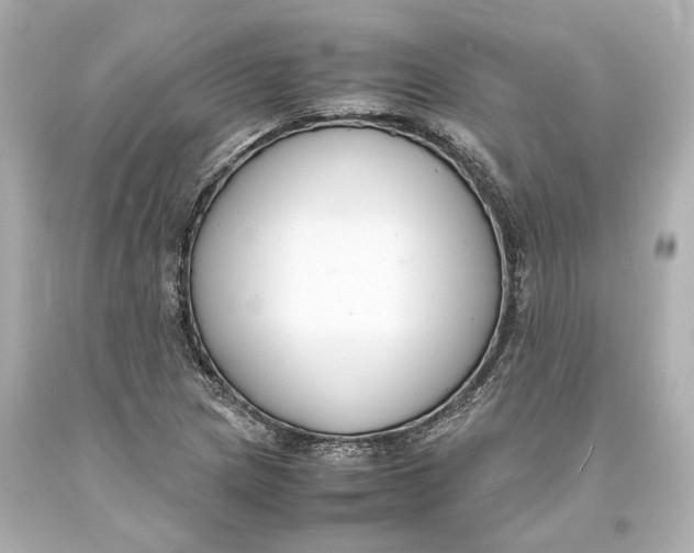 X0000093571217200711051050