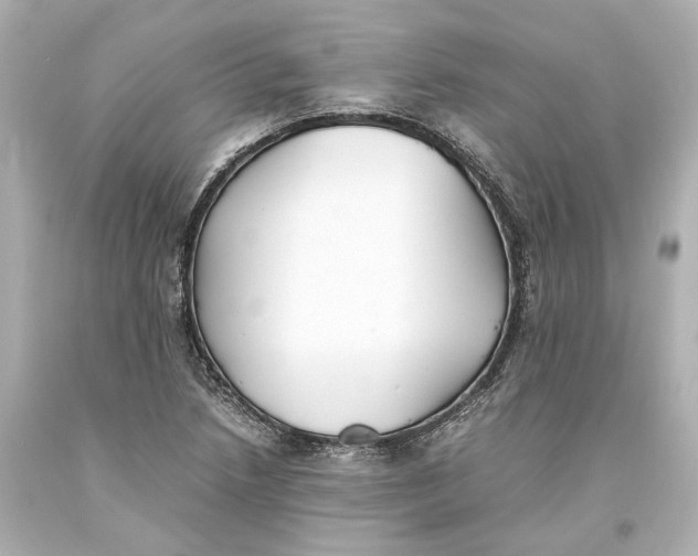 X0000093571218200711051050