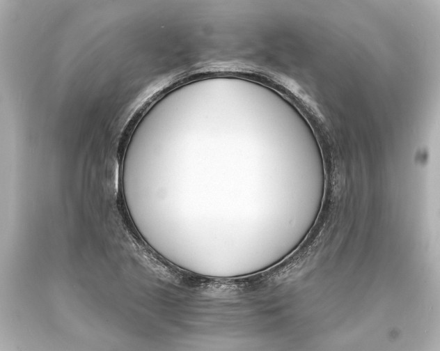 X0000093571221200711051050