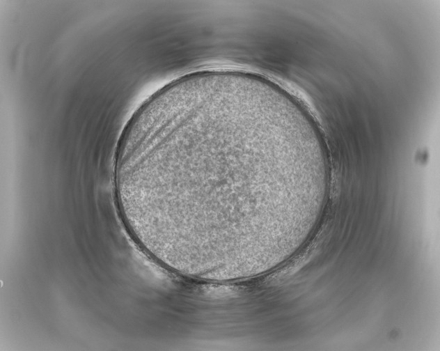 X0000093571231200711051051