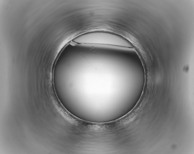 X0000093571234200711051051