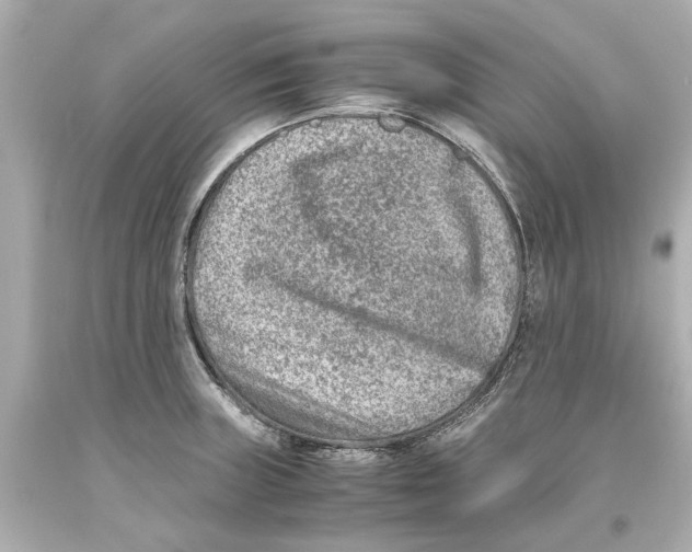 X0000093571235200711051051