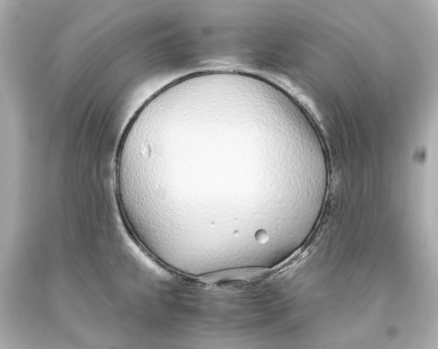 X0000093571239200711051051