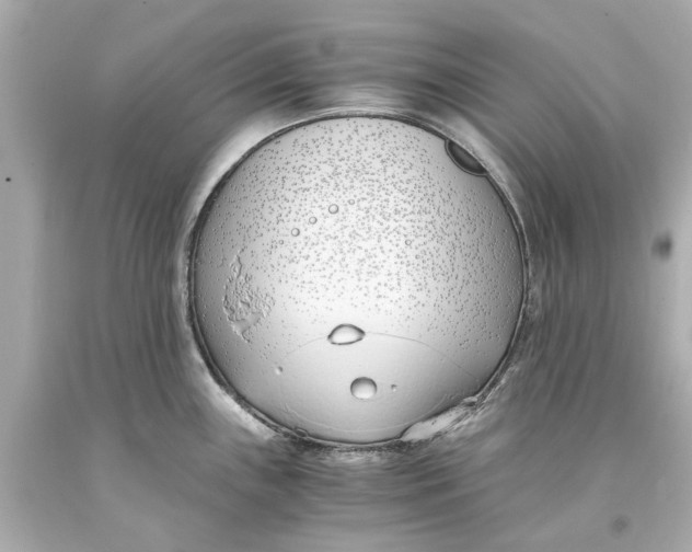 X0000093571243200711051051