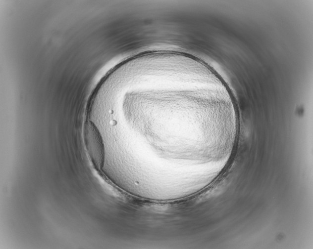X0000093571245200711051051