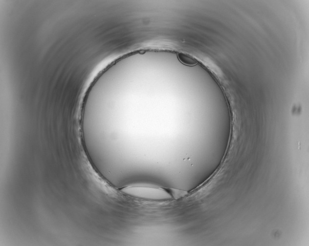 X0000093571248200711051051