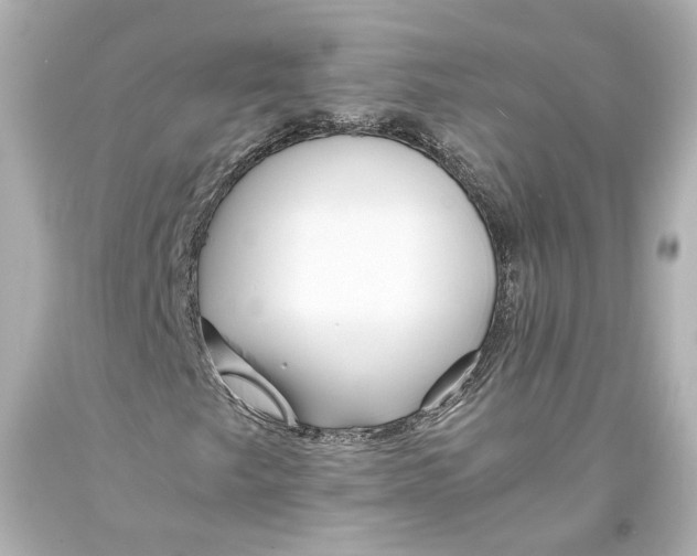 X0000093571249200711051050