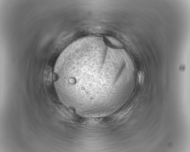 X0000093571251200711051050