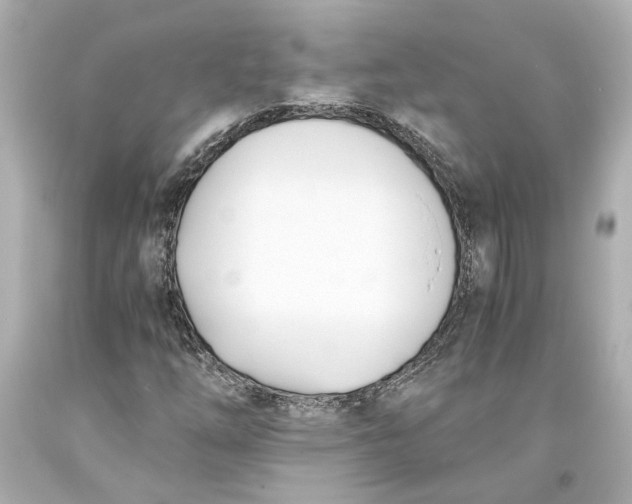 X0000093571254200711051050