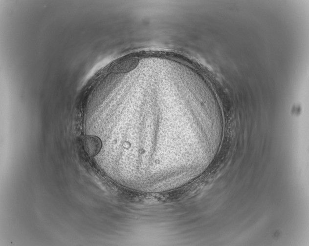 X0000093571255200711051050