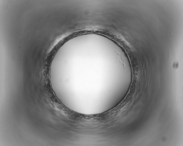 X0000093571256200711051050