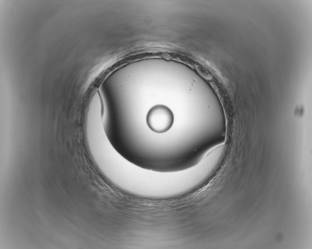 X0000093571261200711051050