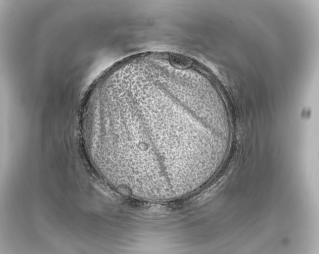 X0000093571263200711051050