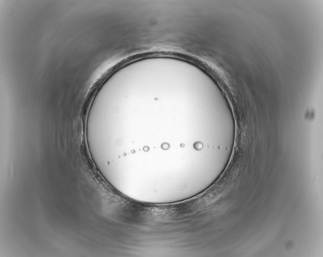 X0000093571271200711051050