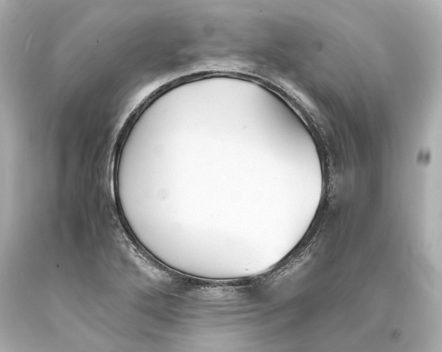 X0000093571272200711051050