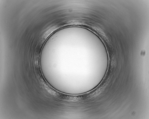 X0000093571273200711051050
