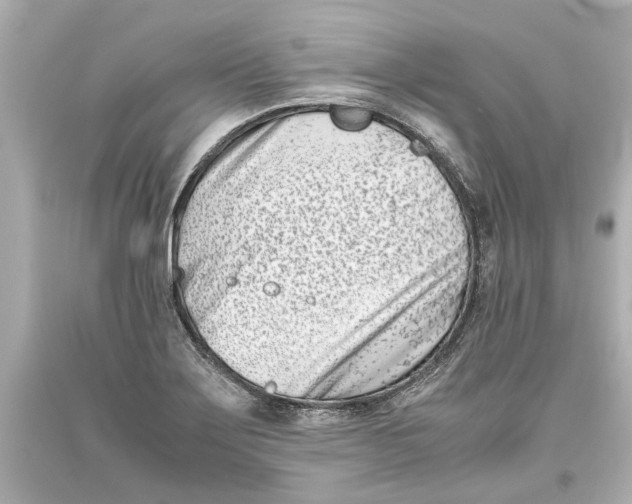 X0000093571275200711051050
