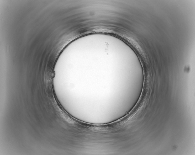 X0000093571281200711051050