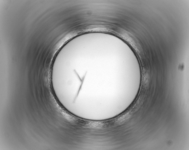 X0000093571282200711051050