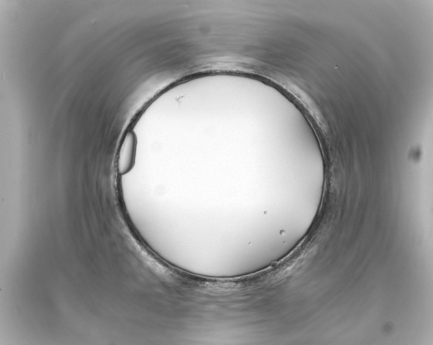 X0000093571285200711051050