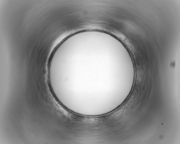 X0000093571286200711051050