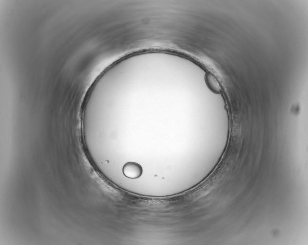 X0000093571287200711051050