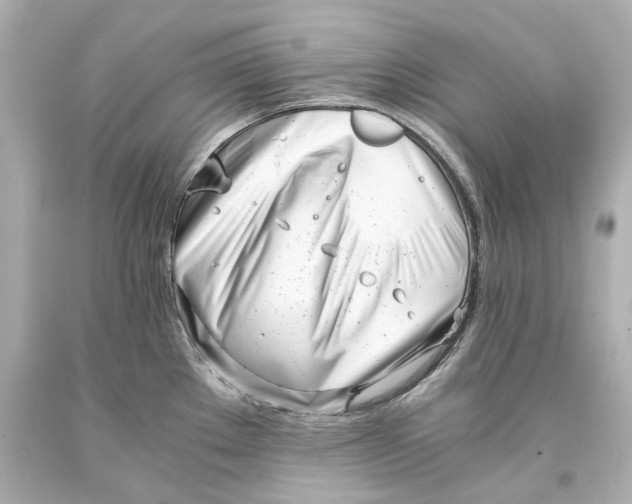 X0000093571289200711051050