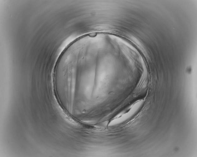 X0000093571291200711051050