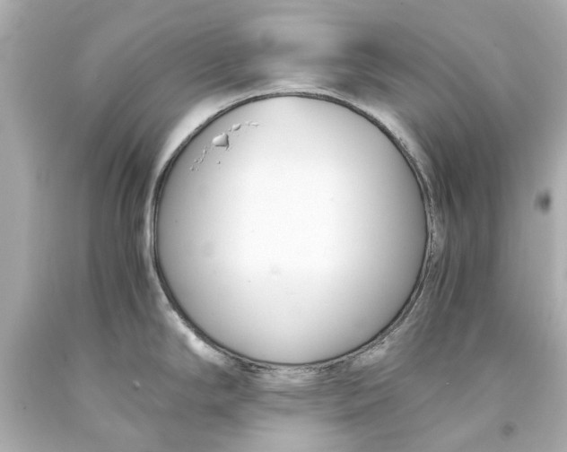 X0000093571294200711051050