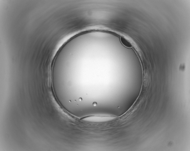 X0000093571295200711051050