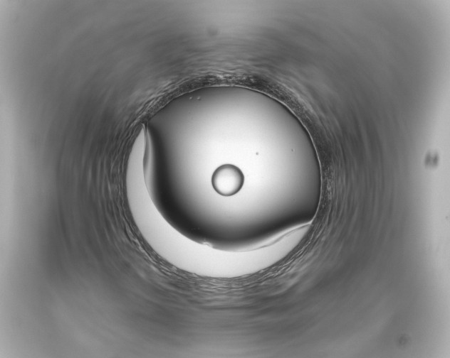 X0000093571298200711051049