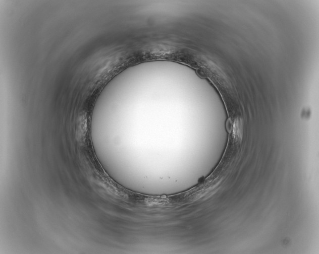 X0000093571299200711051049
