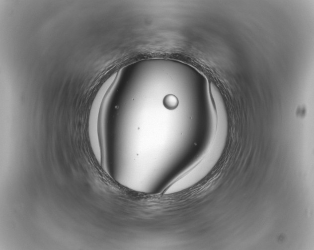 X0000093571300200711051049