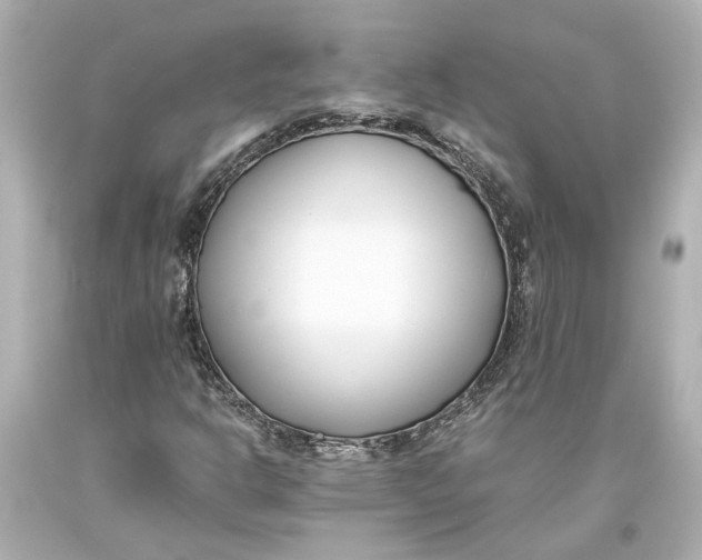 X0000093571302200711051049