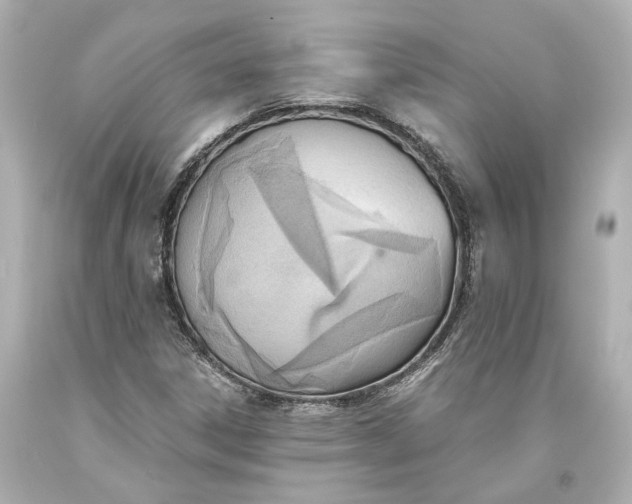 X0000093571306200711051049