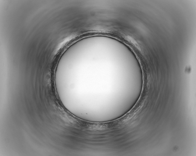 X0000093571307200711051049
