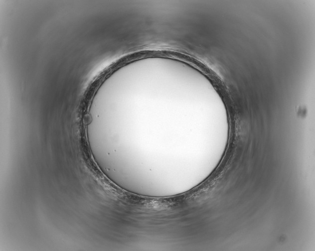 X0000093571311200711051049
