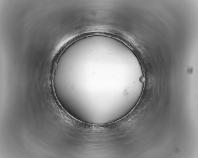 X0000093571312200711051049