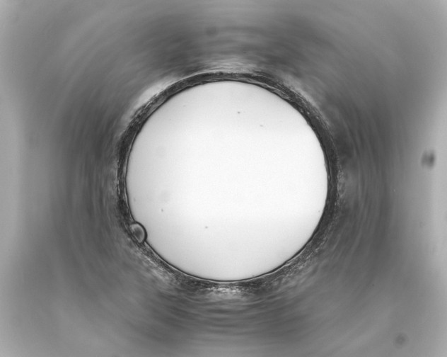 X0000093571315200711051049