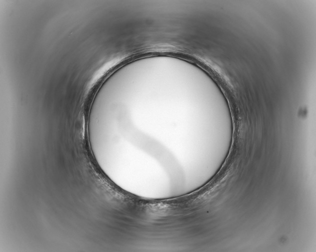 X0000093571317200711051049