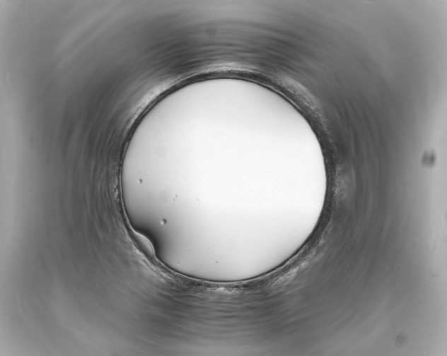 X0000093571321200711051049
