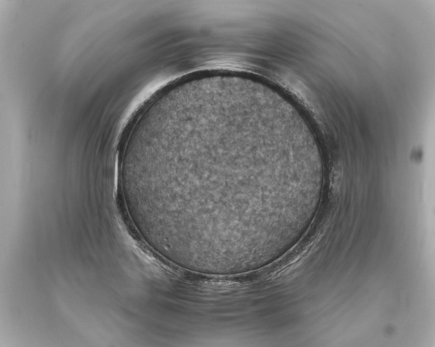 X0000093571323200711051049