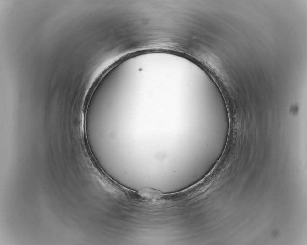 X0000093571324200711051049