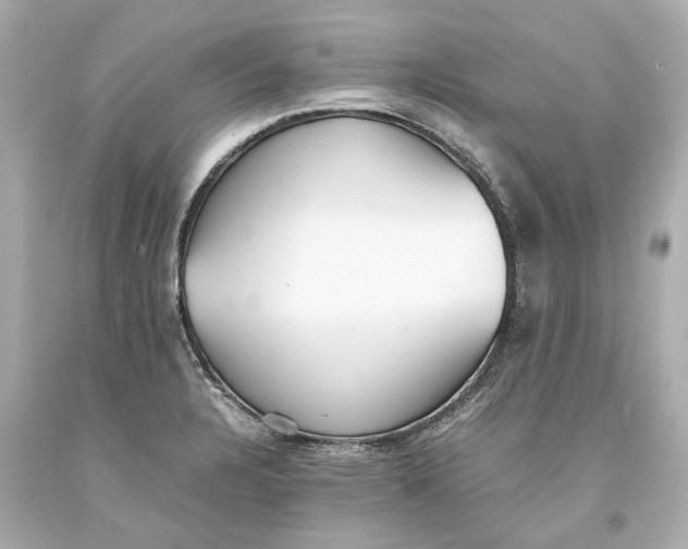 X0000093571328200711051049