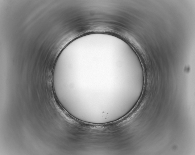 X0000093571329200711051049