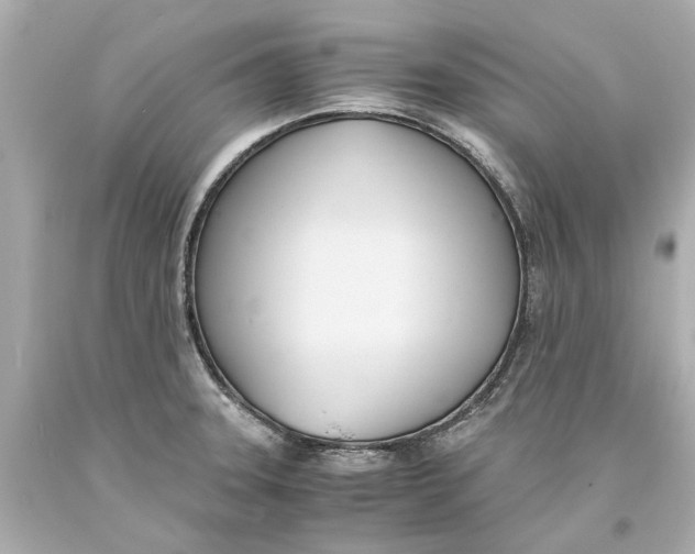 X0000093571331200711051049
